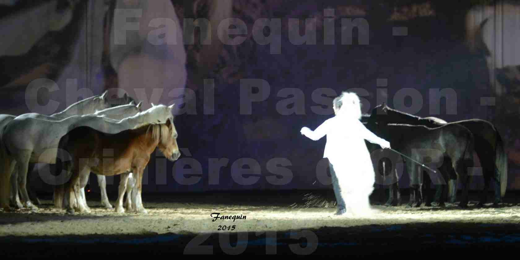 Cheval Passion 2015 - Les Crinières d'OR - Jean François PIGNON - 7