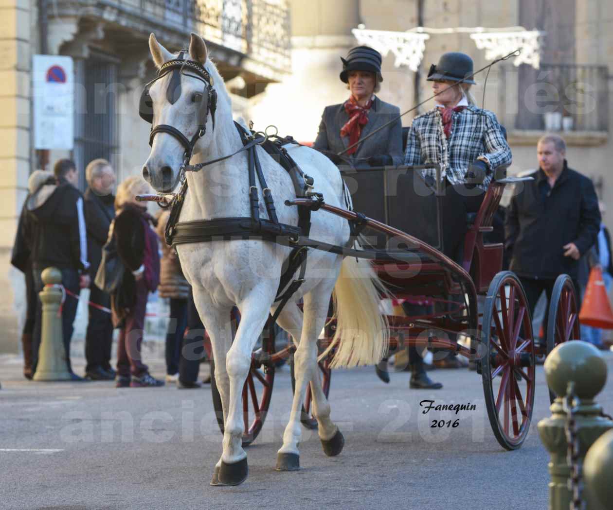 Défilé d'attelages anciens dans les rues d'UZES en octobre 2016 - simple cheval - 2