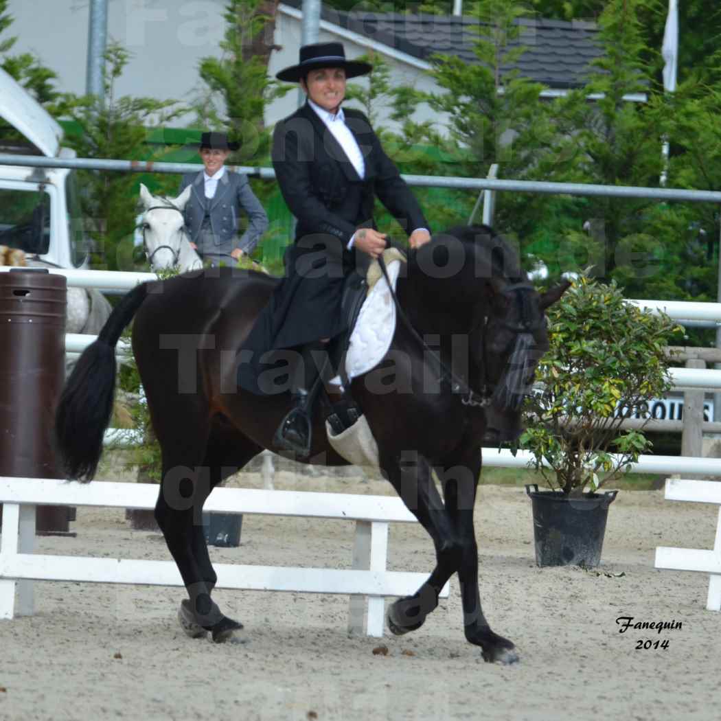 Salon Equitaine de Bordeaux en 2014 - concours Equitation de travail - Épreuve de Dressage - 06