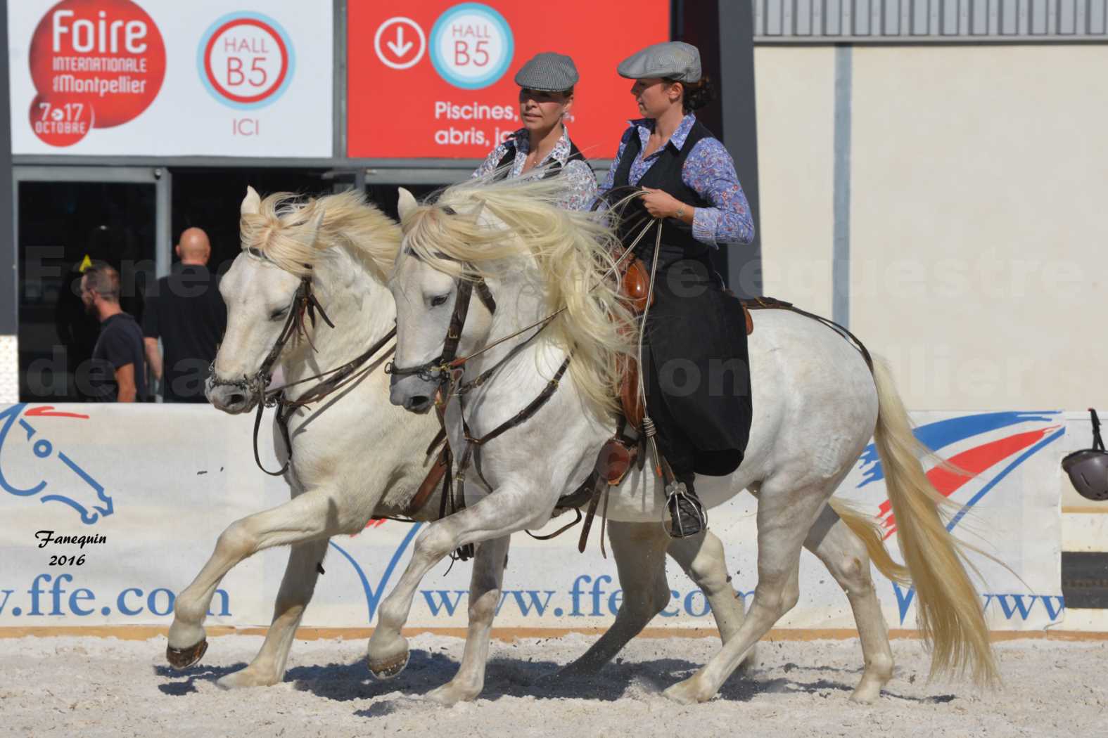 Centre équestre éphémère de la Foire de Montpellier 2016 - Samedi 08 Octobre 2016 - Cavalières Camarguaises - 4