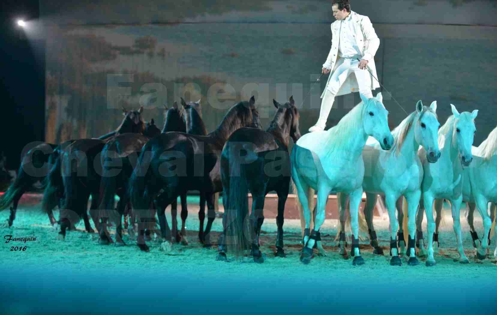 Cheval Passion 2016 - Spectacle les Crinières d'OR - LORENZO "Blanc" - représentation du 20 janvier 2016 - 20