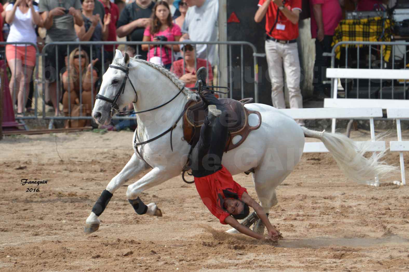 Spectacle équestre le 4 Septembre 2016 au Domaine de GAILLAC - voltige équestre avec la famille HASTALUEGO - 02