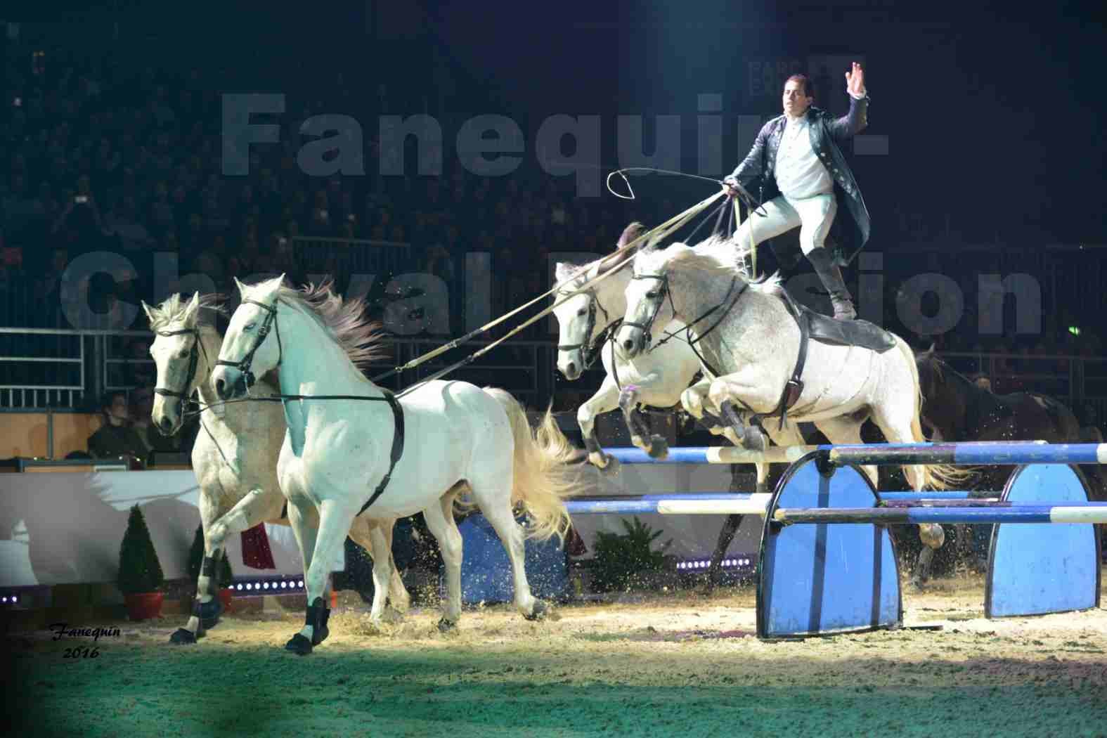 Cheval Passion 2016 - Spectacle les Crinières d'OR - LORENZO "Noir" - représentation du 20 janvier 2016 - 12