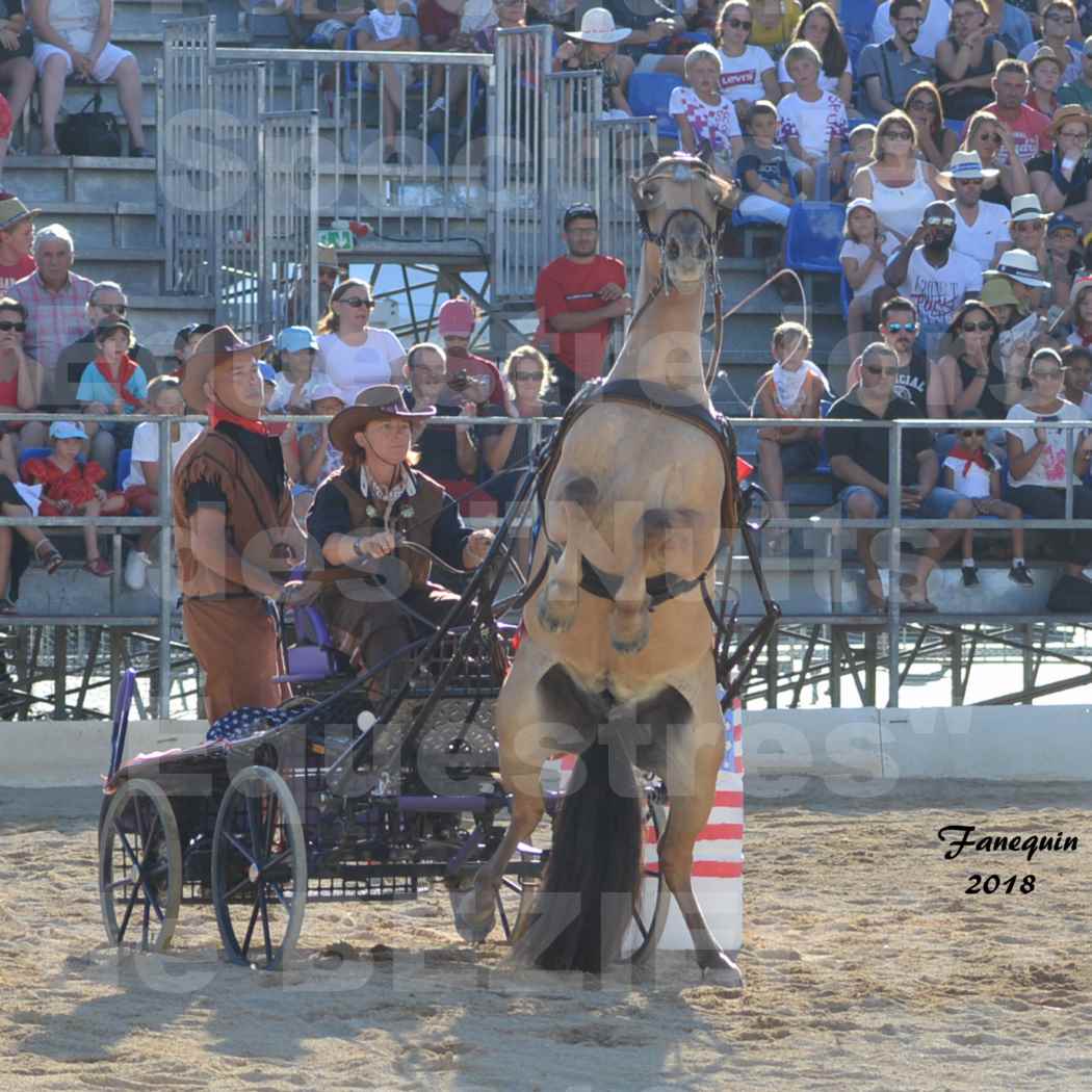 Spectacle en journée des "Nuits Équestres"  de la Féria de BÉZIERS 2018 - Mercredi 15 Août - ATTELAGE en simple "Western" - 1