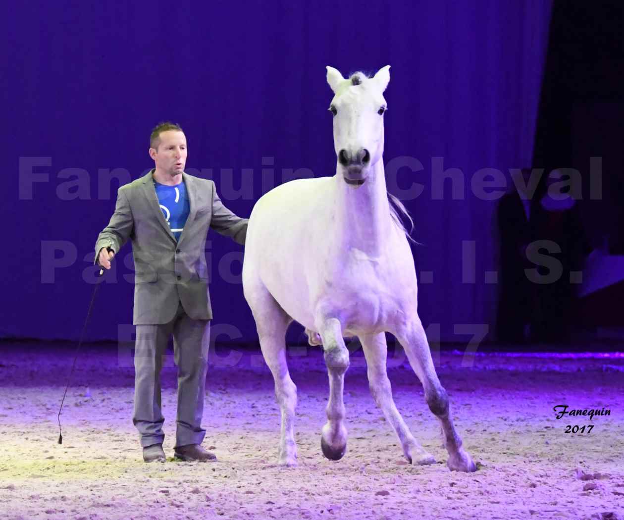 Cheval Passion 2017 - M. I. S. E. C. - Ludovic LONGO & 1 cheval en liberté - 07