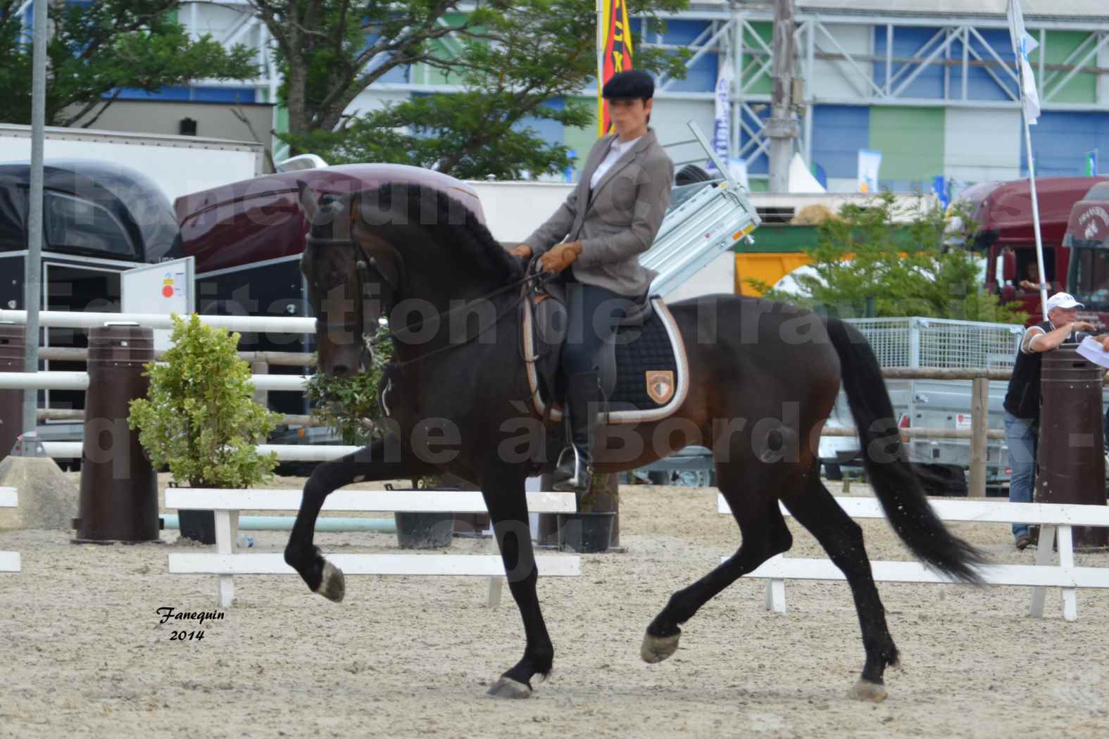 Salon Equitaine de Bordeaux en 2014 - concours Equitation de travail - Épreuve de Dressage - 02