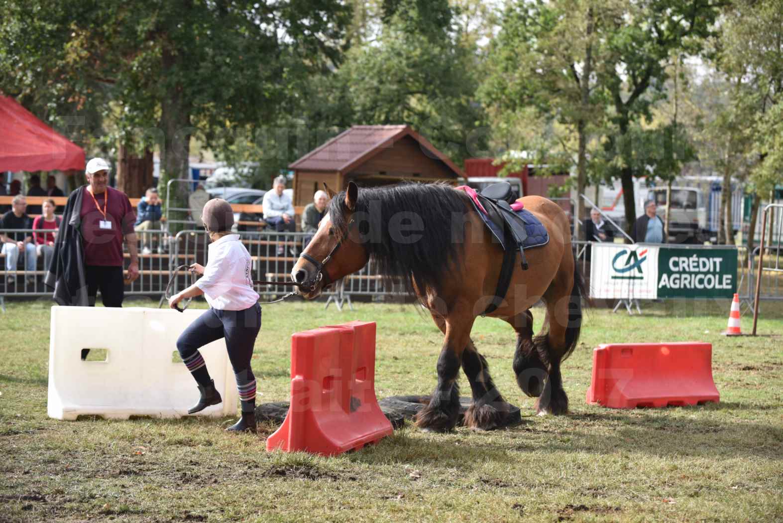 Concours Label Cheval Loisir 2017 - Cheval monté - QUIQUINOU - 01
