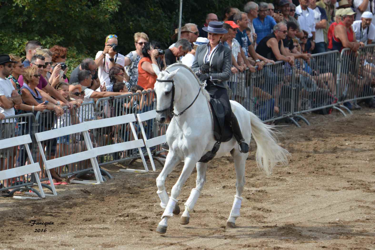 Spectacle équestre le 4 Septembre 2016 au Domaine de GAILLAC - Démonstration de CARROUSEL de chevaux LUSITANIENS - 13