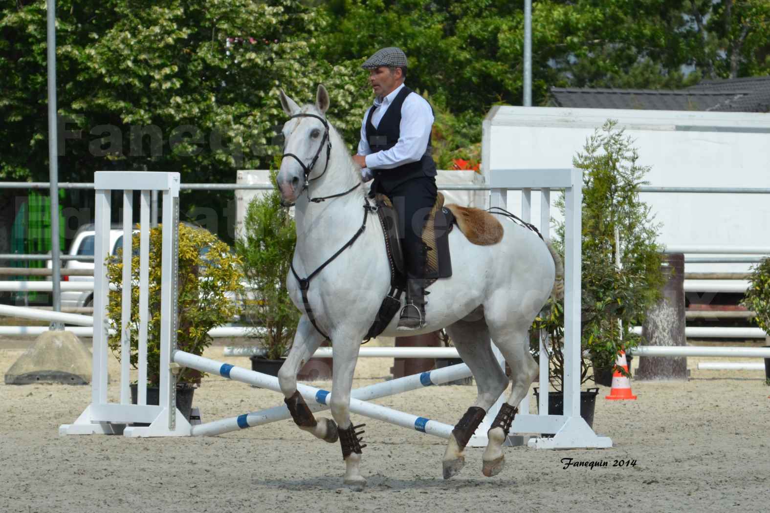 Salon Equitaine de Bordeaux en 2014 - concours Equitation de travail - Épreuve de Maniabilité chronométré - H - 06