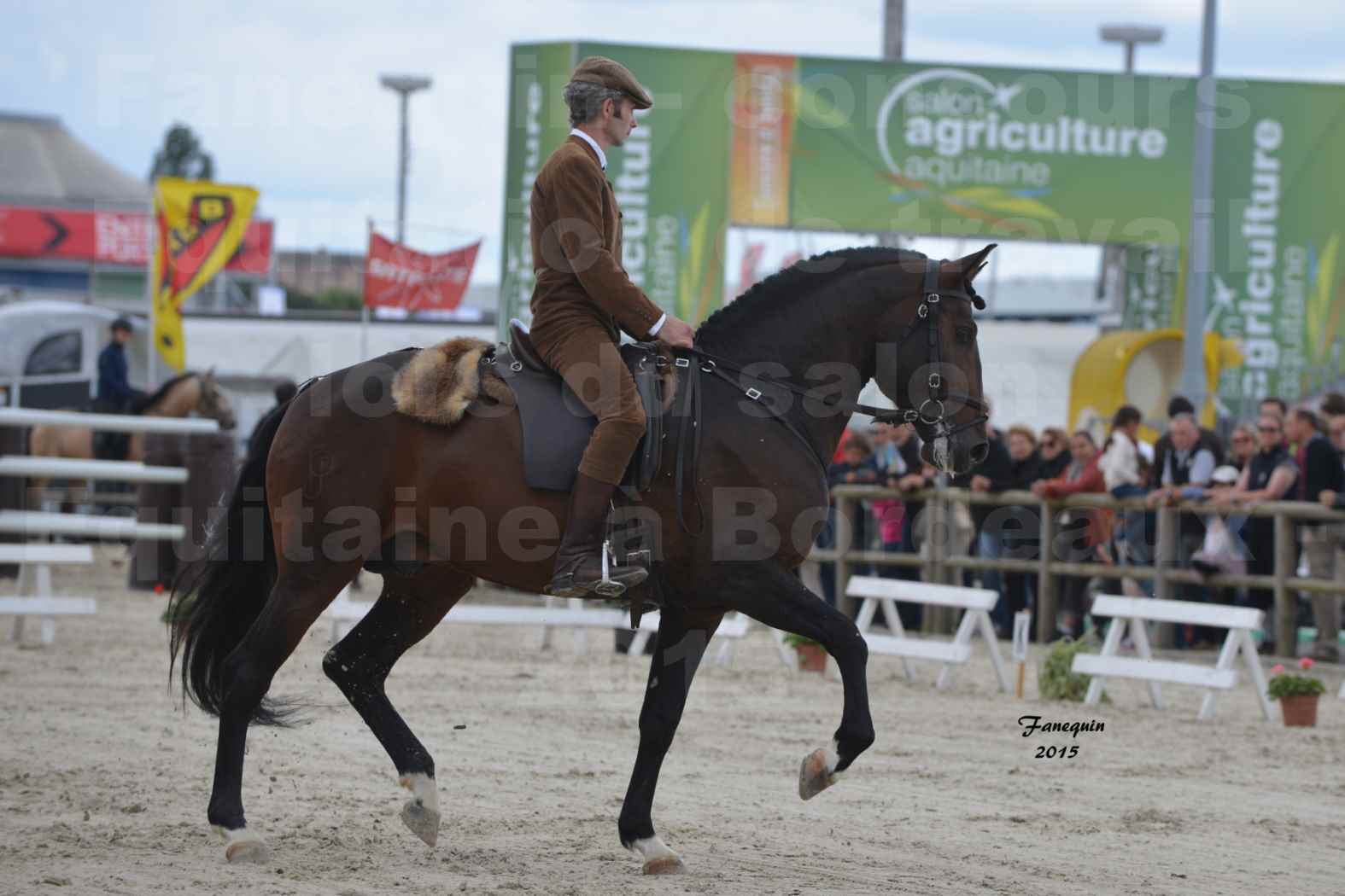 Salon Equitaine de Bordeaux 2015 - Concours d'Equitation de Travail avec chevaux Ibériques - J - 2
