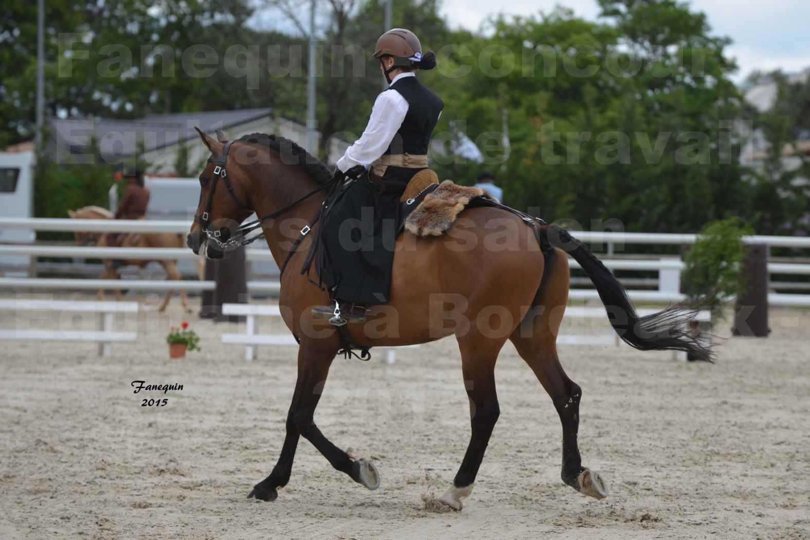Salon Equitaine de Bordeaux 2015 - Concours d'Equitation de Travail avec chevaux Ibériques - G - 3