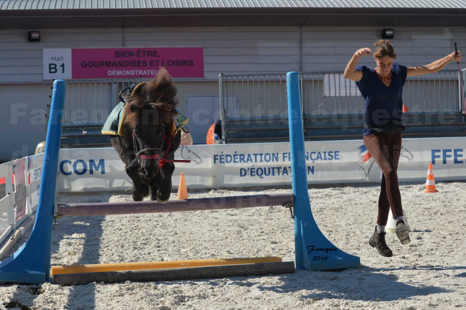 Centre équestre éphémère de la Foire de Montpellier 2016 - saut d'obstacle cavalière "clos d'Alice" - 6