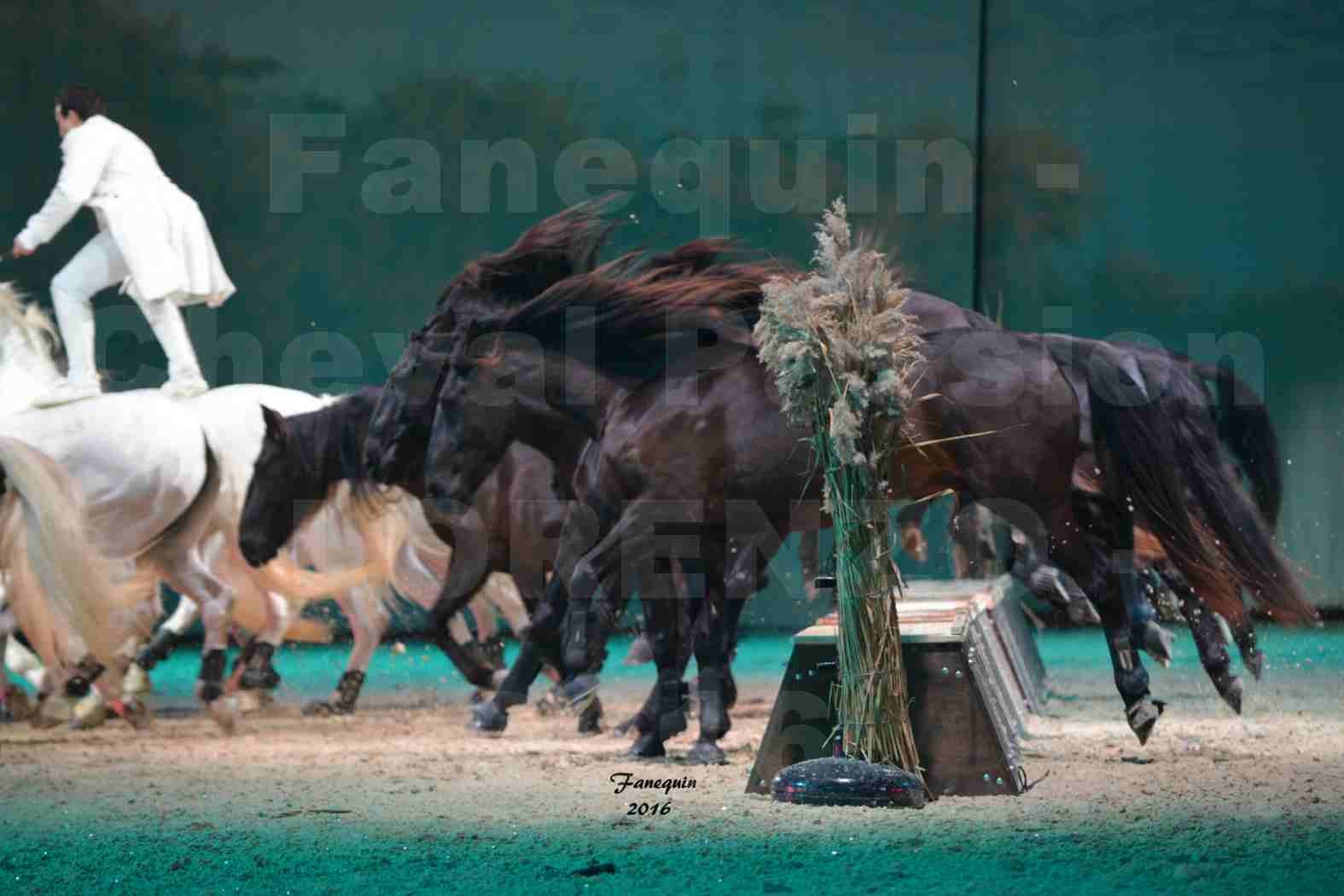 Cheval Passion 2016 - Spectacle les Crinières d'OR - LORENZO "Blanc" - représentation du 20 janvier 2016 - 21