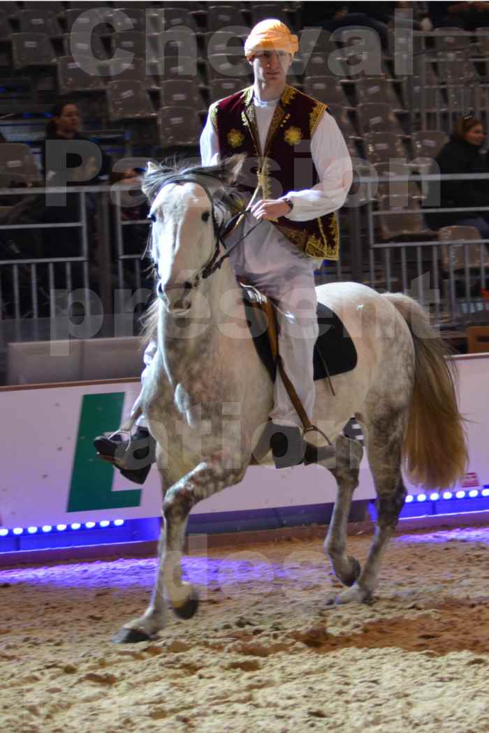 Cheval Passion 2014 - Chevaux BARBES - Notre Sélection - 19