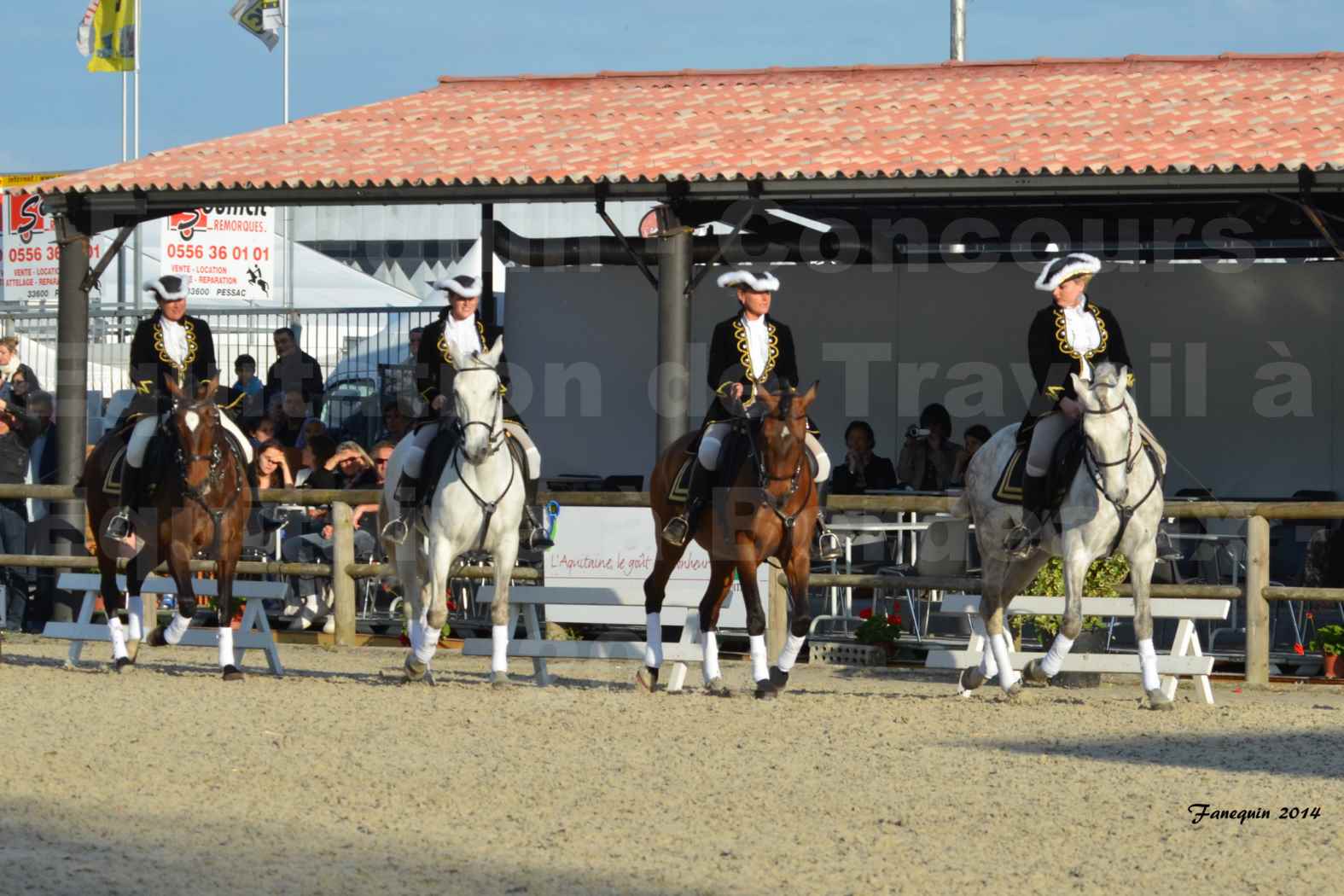 Carrousel de cavalières Equitation de travail lors du salon "Equitaine" à Bordeaux en 2014 - 12