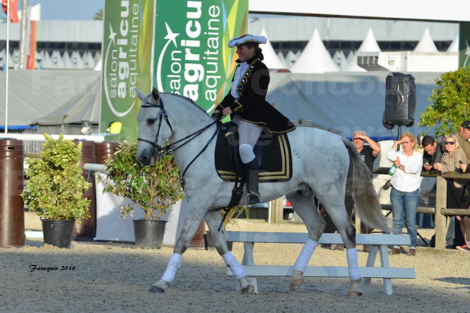 Carrousel de cavalières Equitation de travail lors du salon "Equitaine" à Bordeaux en 2014 - 57
