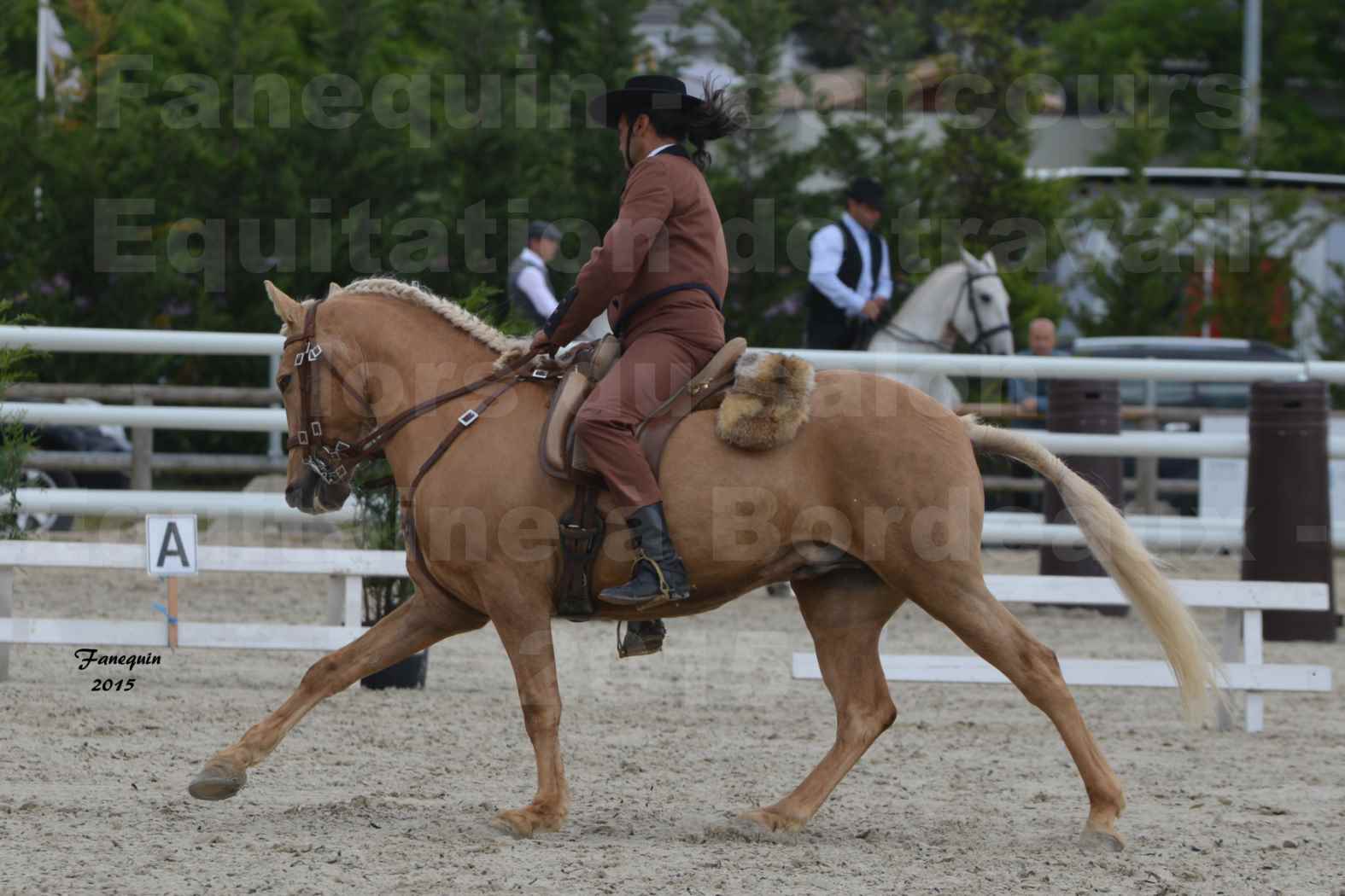 Salon Equitaine de Bordeaux 2015 - Concours d'Equitation de Travail avec chevaux Ibériques - T - 7