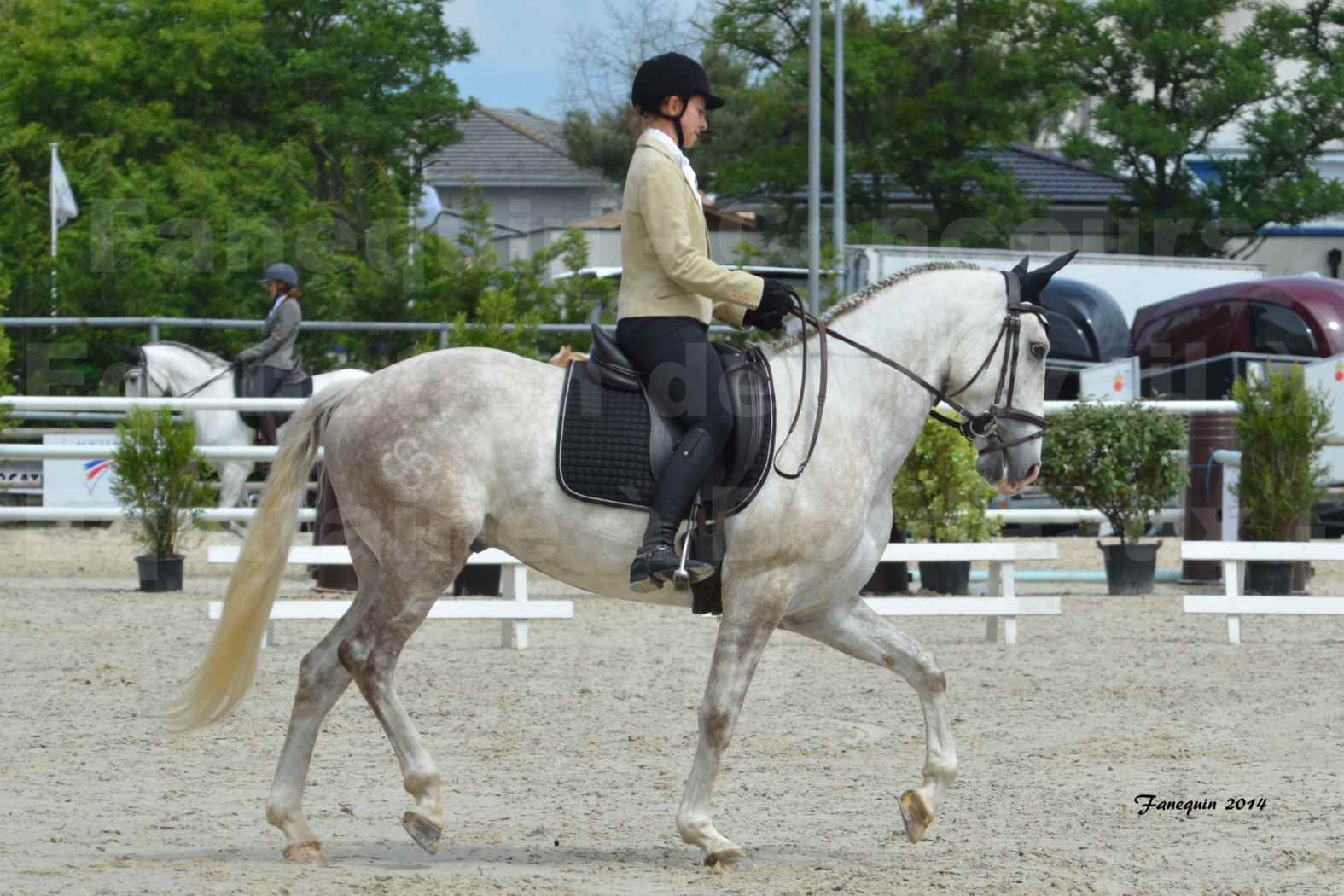 Salon Equitaine de Bordeaux en 2014 - concours Equitation de travail - Épreuve de Dressage - 03