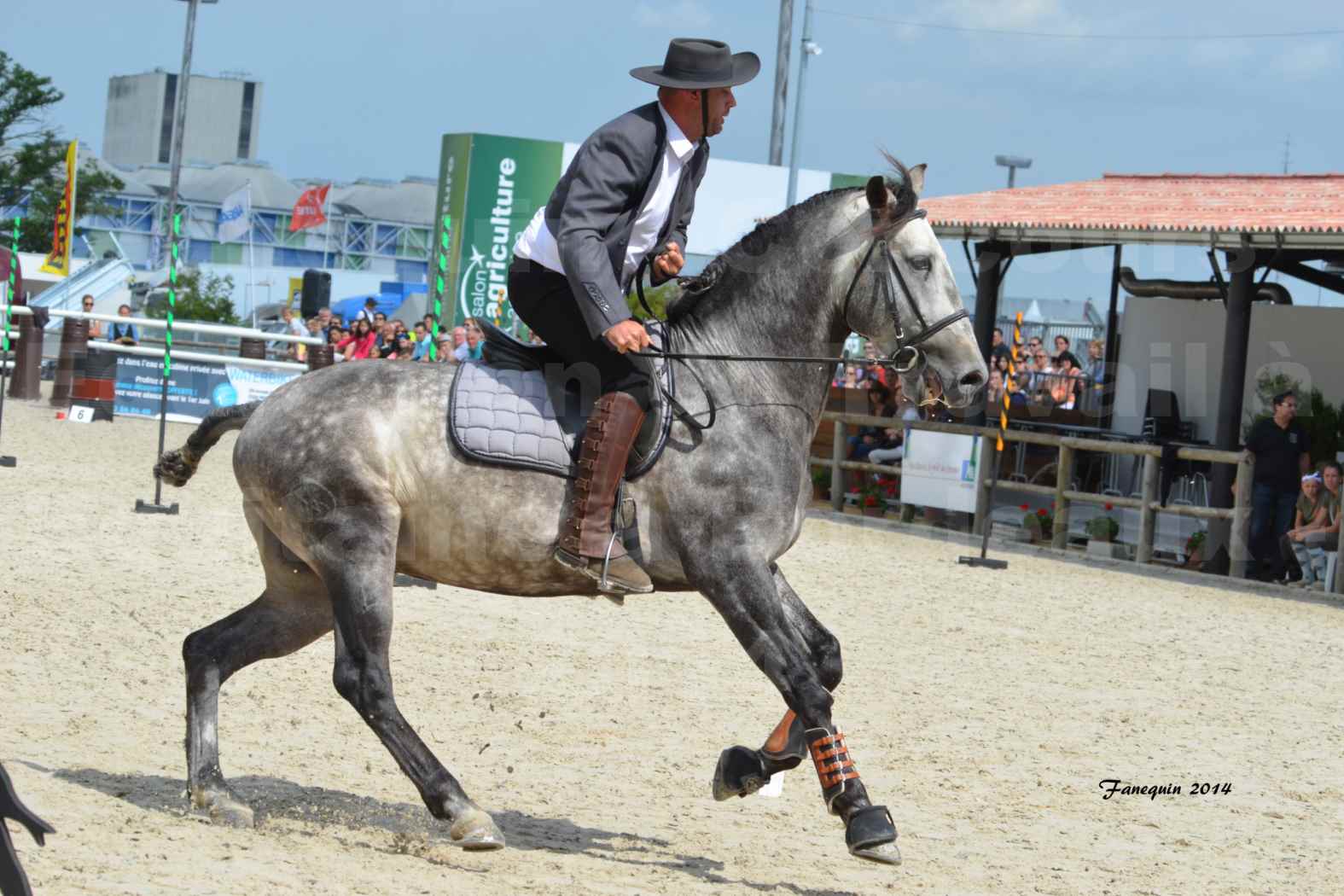 Salon Equitaine de Bordeaux en 2014 - concours Equitation de travail - Épreuve de Maniabilité chronométré - A - 1