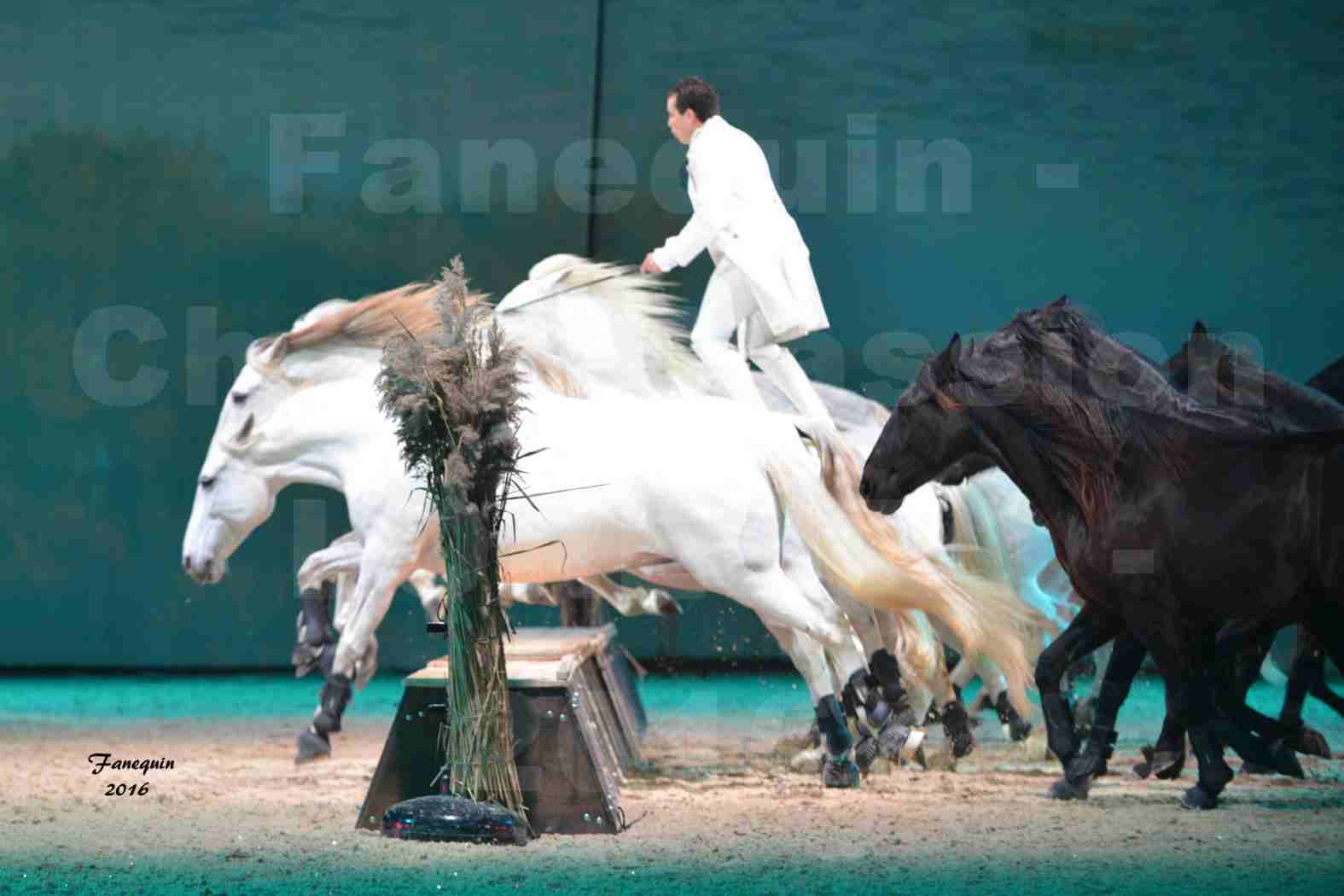 Cheval Passion 2016 - Spectacle les Crinières d'OR - LORENZO "Blanc" - représentation du 20 janvier 2016 - 17