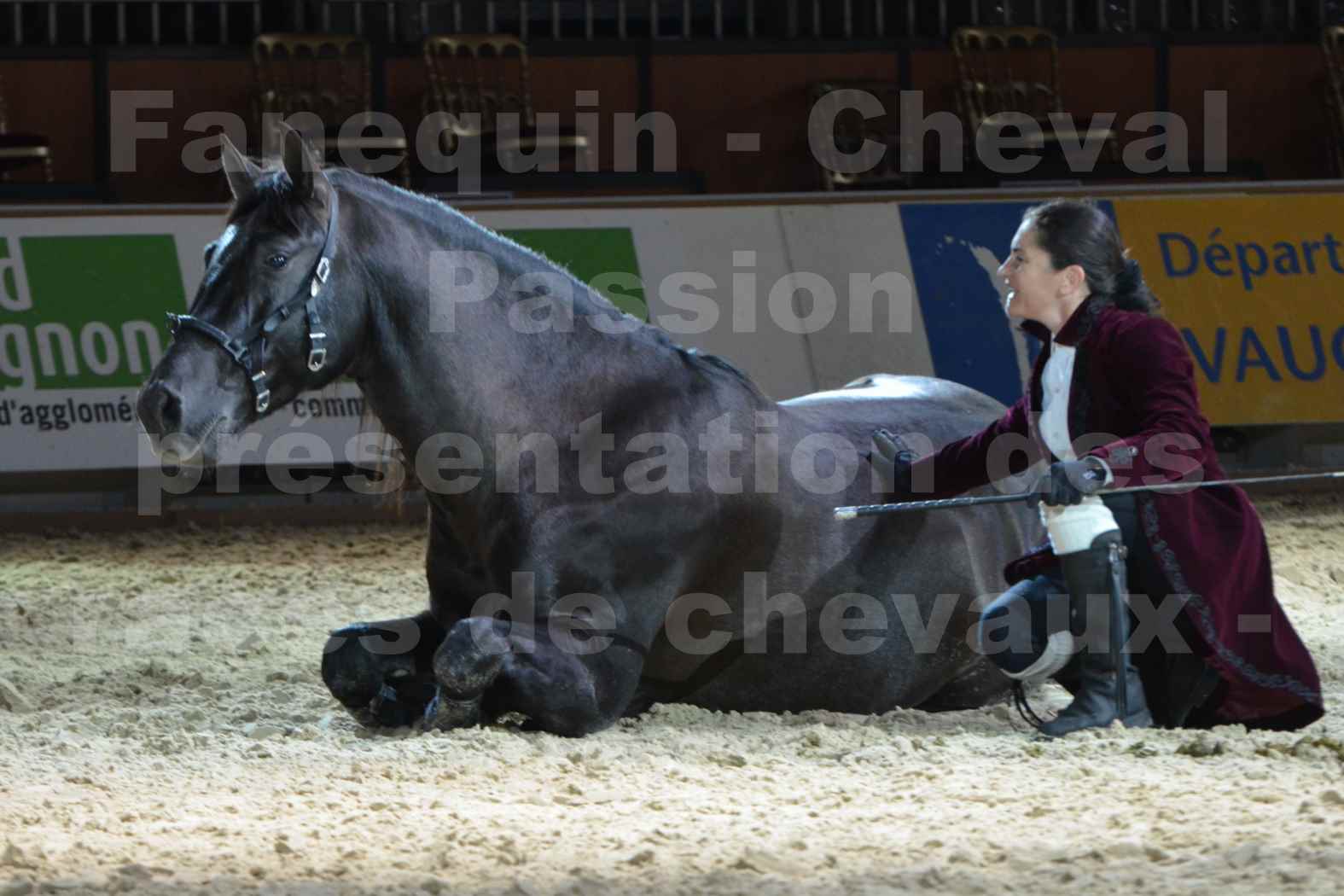 Cheval Passion 2014 - Frédériq VIGNE - Notre Sélection - 21