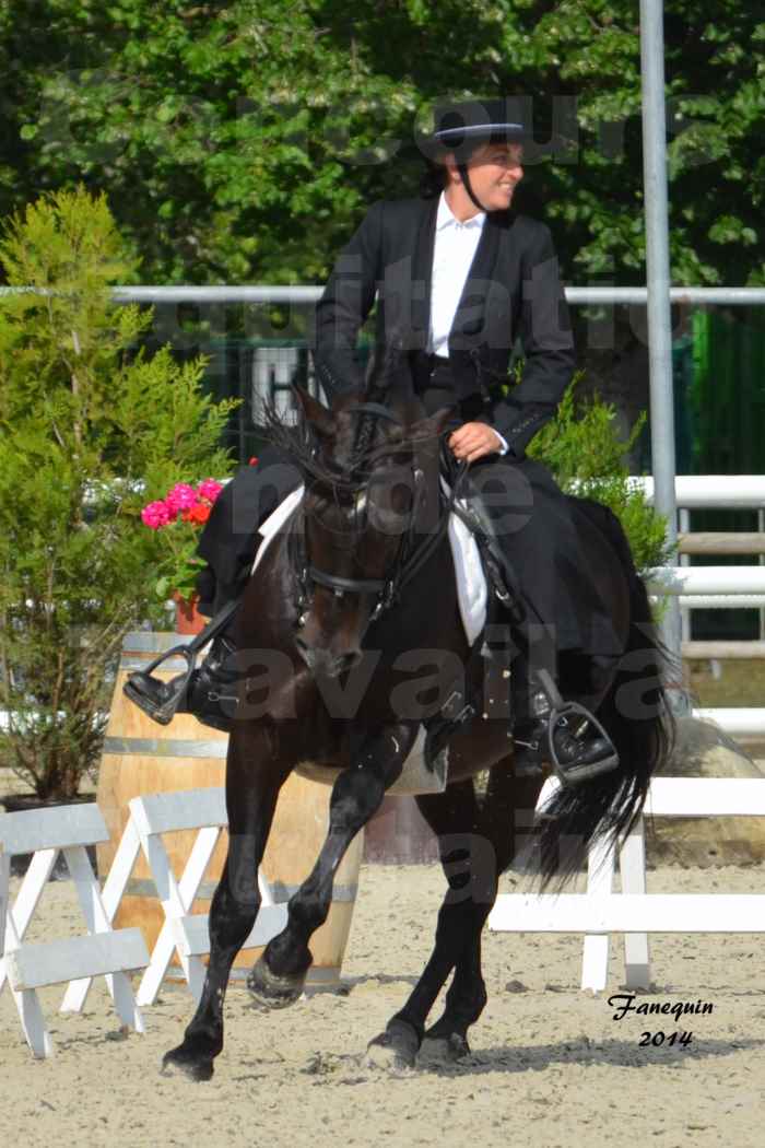Salon Equitaine de Bordeaux en 2014 - concours Equitation de travail - Épreuve de Dressage - 11