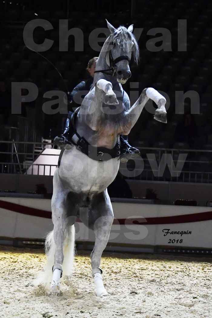 Cheval passion 2018 - Show des éleveurs - Chevaux LUSITANIEN - Institut Français des Arts Équestres - Notre Sélection - 83