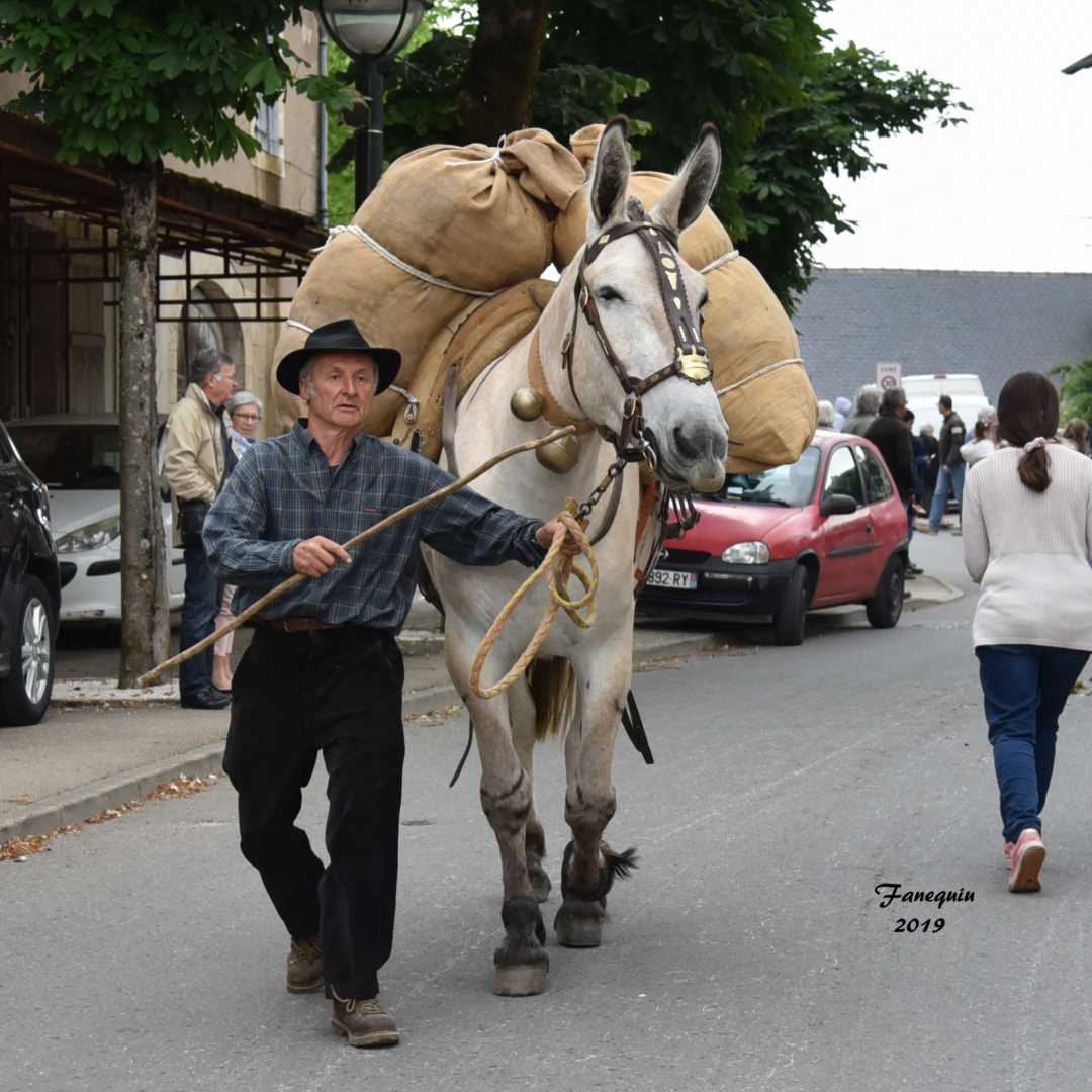 Défilé de calèches de 1900 à Villeneuve d'Aveyron - Mule avec bat