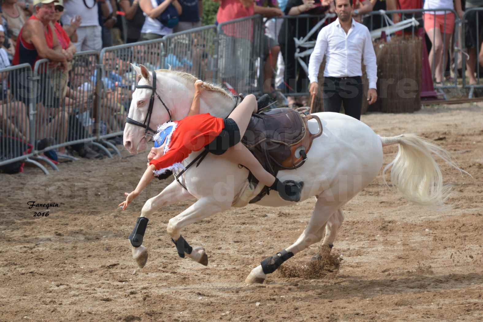 Spectacle équestre le 4 Septembre 2016 au Domaine de GAILLAC - voltige équestre avec la famille HASTALUEGO - 01