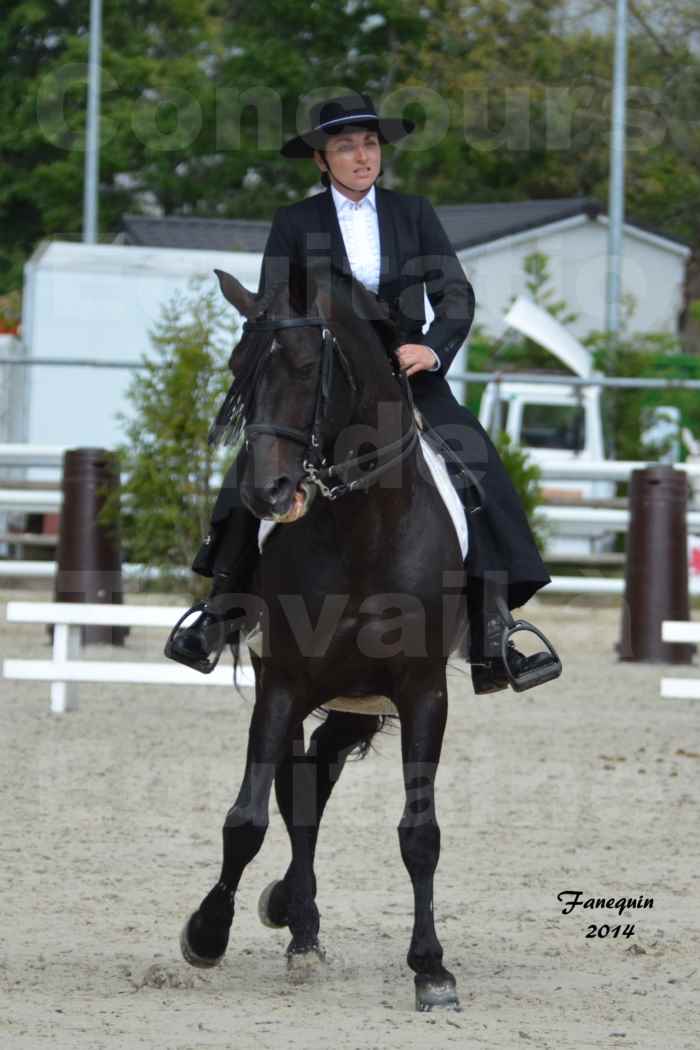 Salon Equitaine de Bordeaux en 2014 - concours Equitation de travail - Épreuve de Dressage - 08