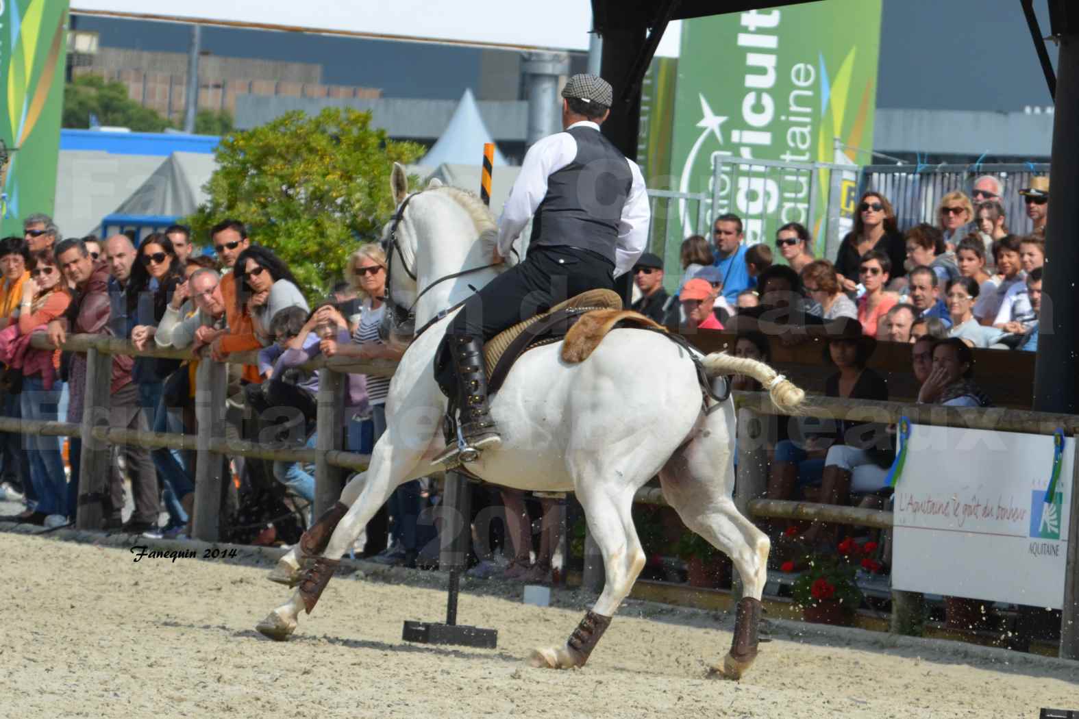 Salon Equitaine de Bordeaux en 2014 - concours Equitation de travail - Épreuve de Maniabilité chronométré - H - 03