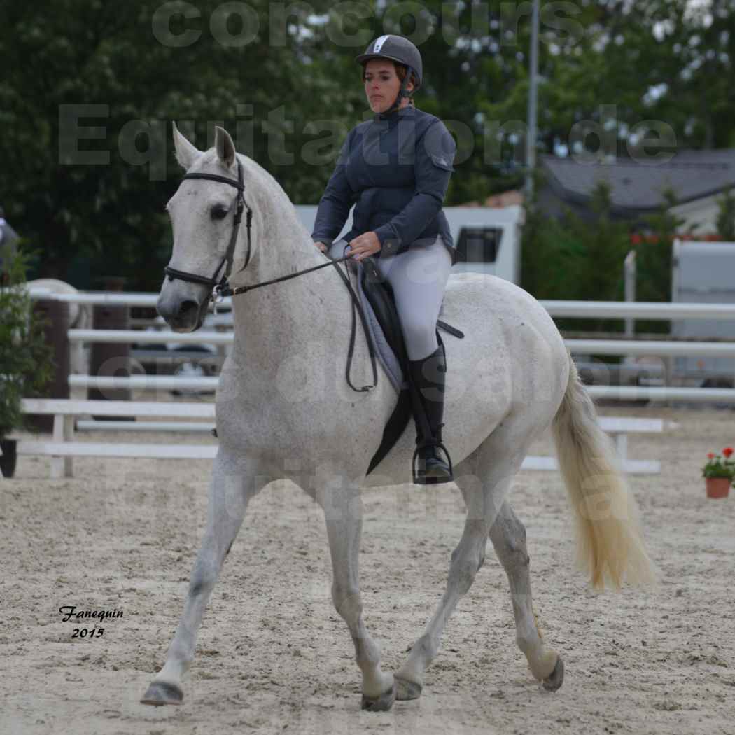 Salon Equitaine de Bordeaux 2015 - Concours d'Equitation de Travail avec chevaux Ibériques - U - 4