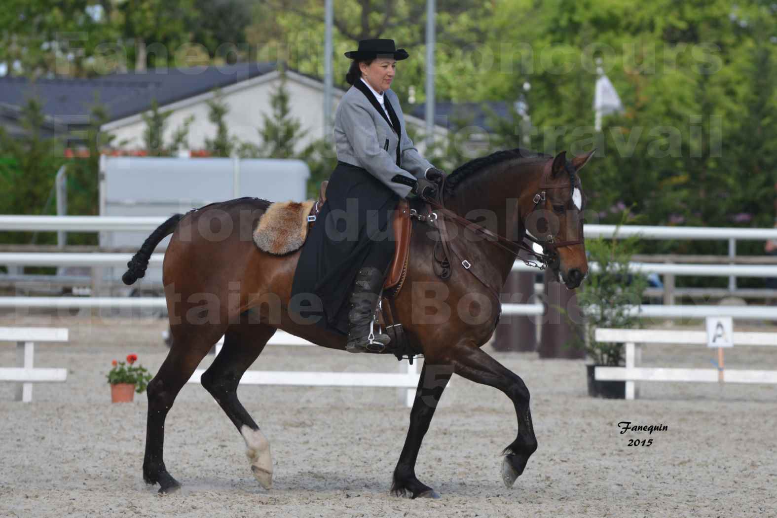 Salon Equitaine de Bordeaux 2015 - Concours d'Equitation de Travail avec chevaux Ibériques - C - 1