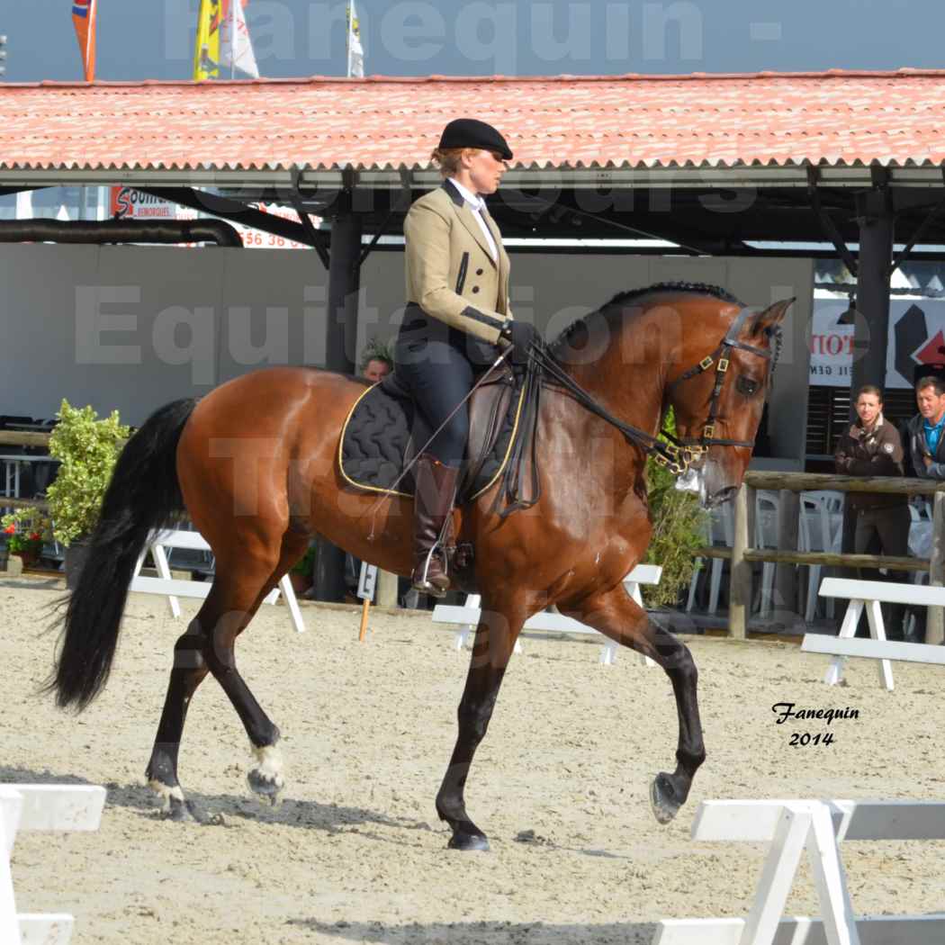 Salon Equitaine de Bordeaux en 2014 - concours Equitation de travail - Épreuve de Dressage - 03