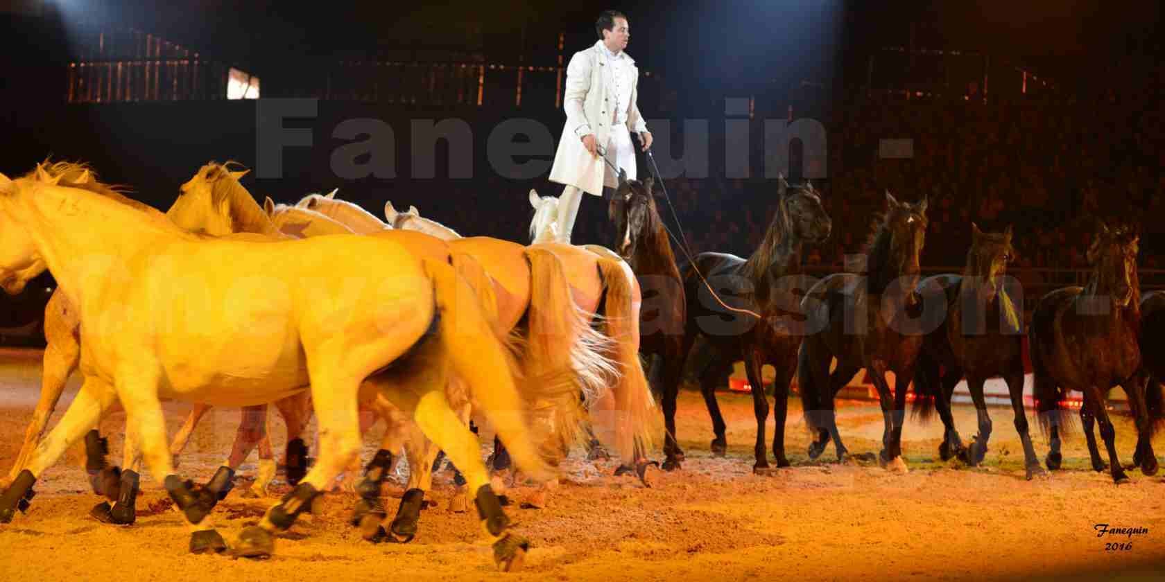 Cheval Passion 2016 - Spectacle les Crinières d'OR - LORENZO "Blanc" - représentation du 23 janvier 2016 - 29