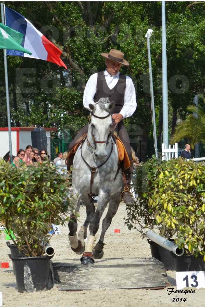 Salon Equitaine de Bordeaux en 2014 - concours Equitation de travail - Épreuve de Maniabilité chronométré - P - 39