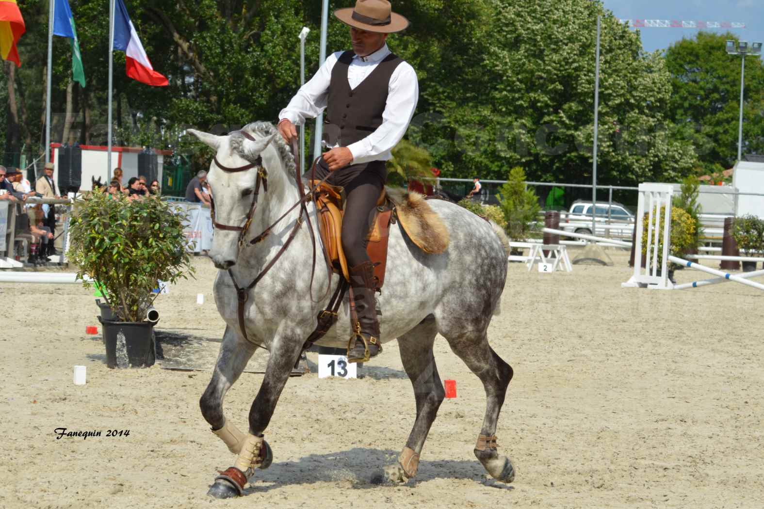 Salon Equitaine de Bordeaux en 2014 - concours Equitation de travail - Épreuve de Maniabilité chronométré - P - 14