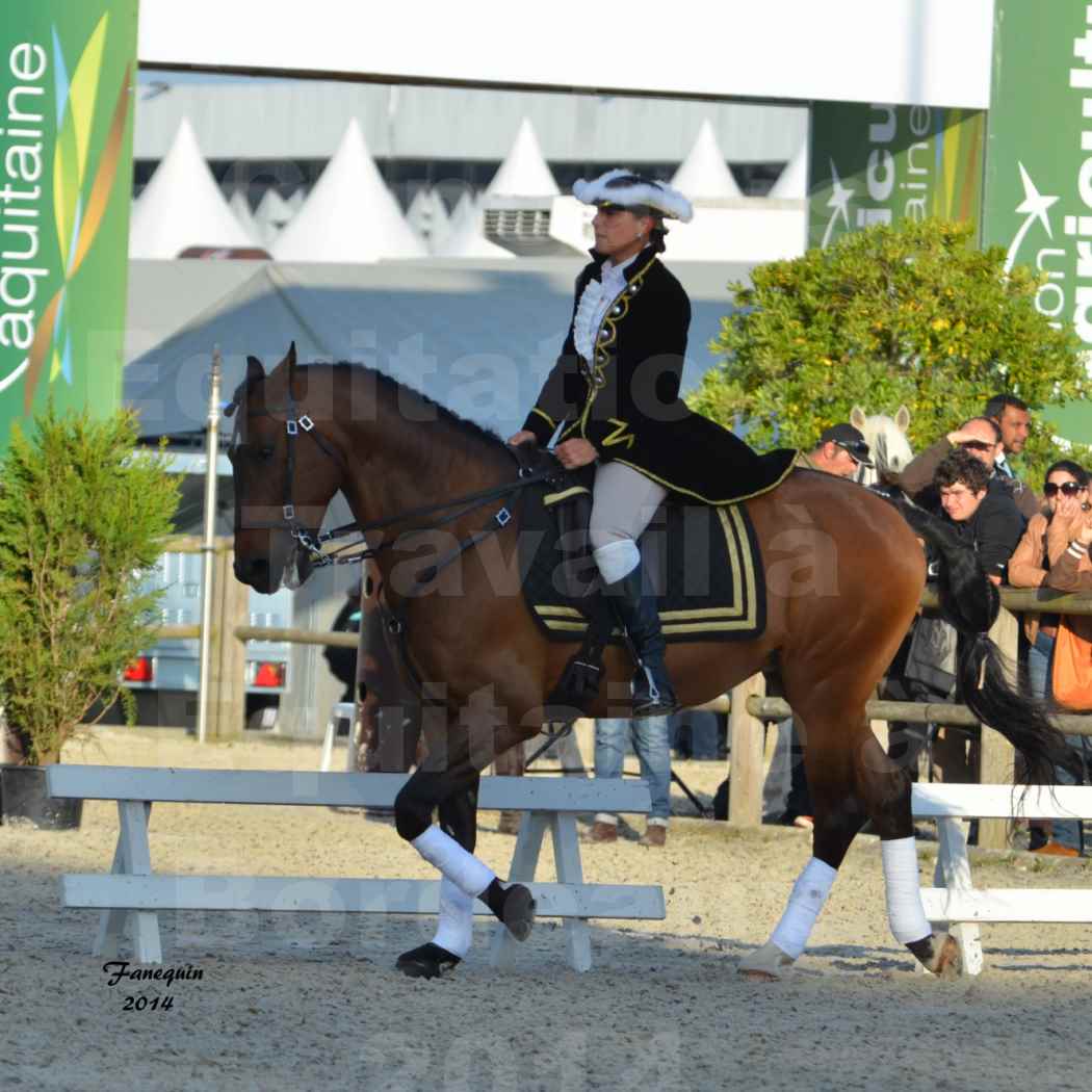 Carrousel de cavalières Equitation de travail lors du salon "Equitaine" à Bordeaux en 2014 - 58