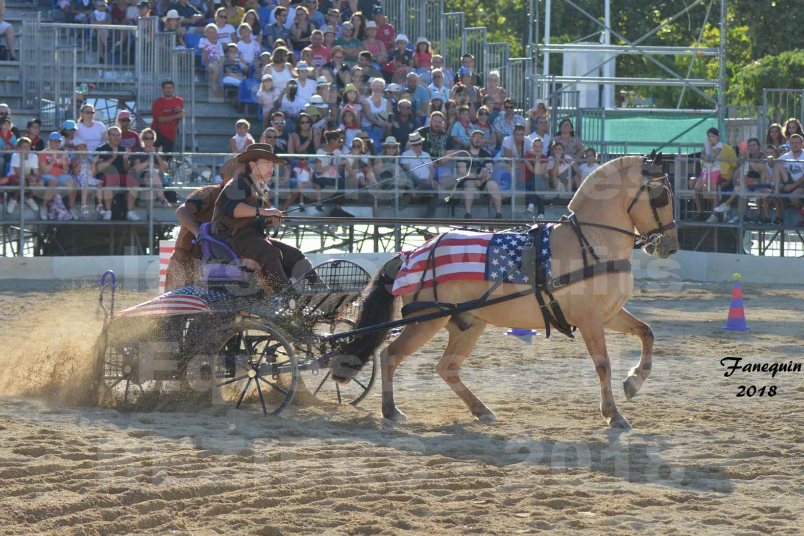 Spectacle en journée des "Nuits Équestres"  de la Féria de BÉZIERS 2018 - Mercredi 15 Août - ATTELAGE en simple "Western" - 2