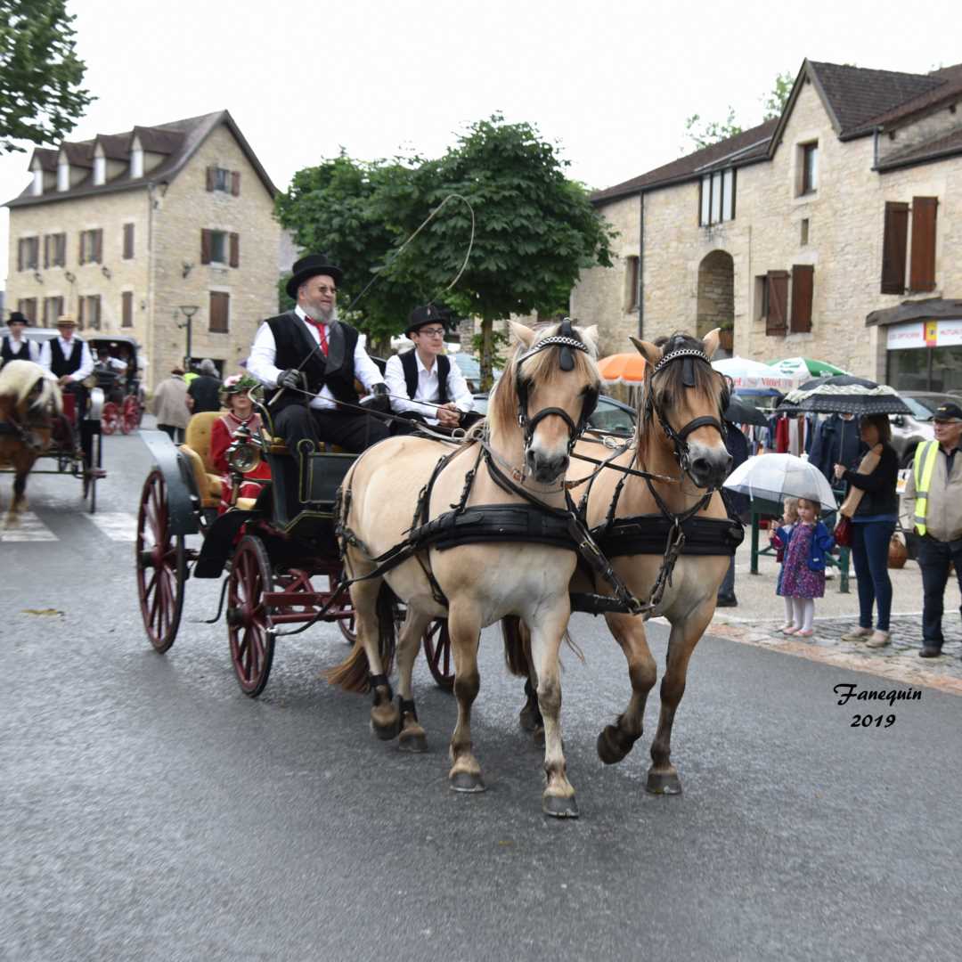 Défilé de calèches de 1900 à Villeneuve d'Aveyron - calèche attelée à une paire de chevaux