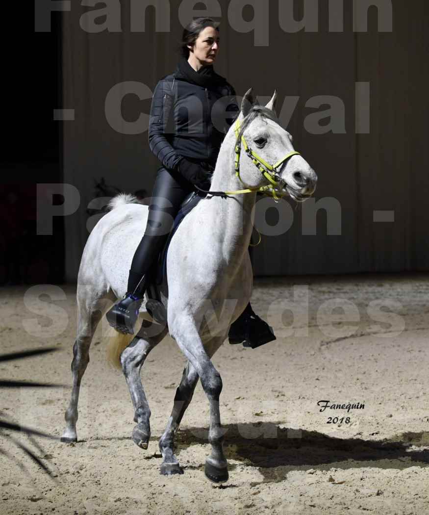 Cheval passion 2018 - Show des éleveurs - Chevaux ARABES - Notre Sélection - 01