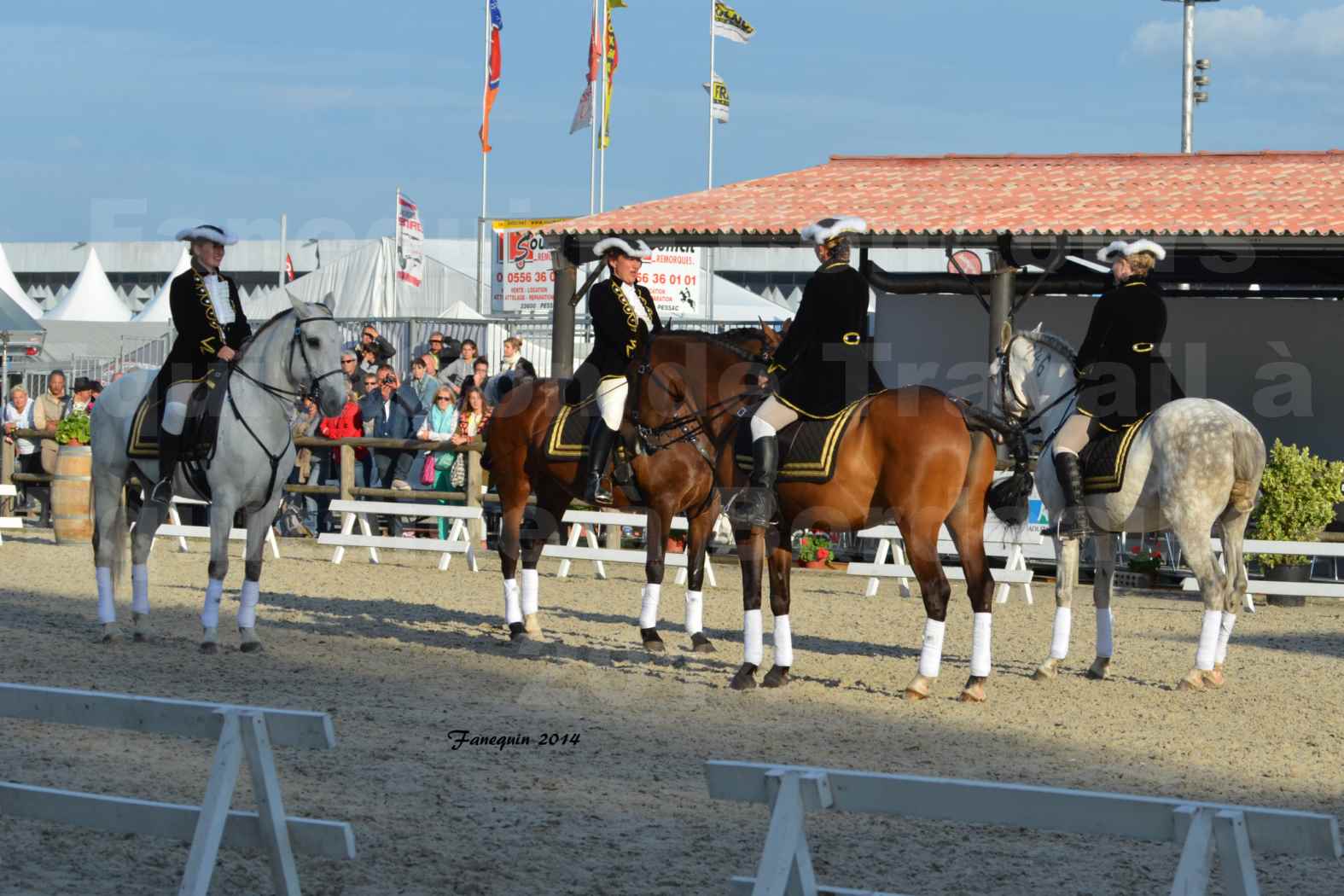 Carrousel de cavalières Equitation de travail lors du salon "Equitaine" à Bordeaux en 2014 - 36