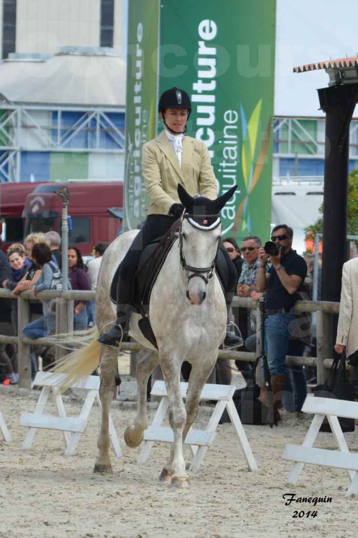 Salon Equitaine de Bordeaux en 2014 - concours Equitation de travail - Épreuve de Dressage - 12