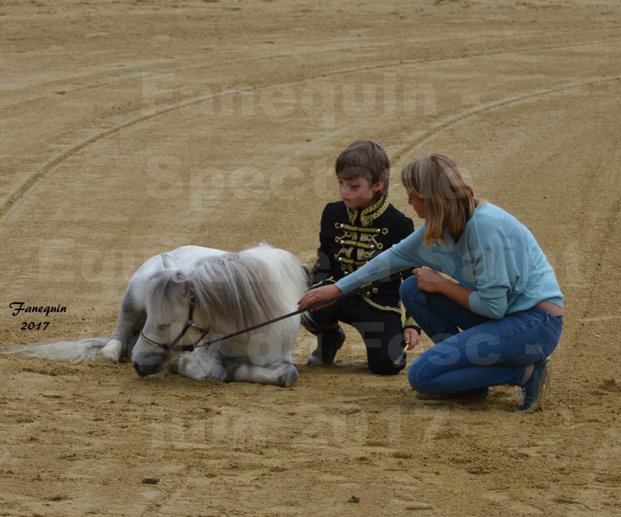 Spectacle Équestre - Salon Pêche Chasse Nature à Saint Gely du Fesc - Jeune garçon et poney - 1