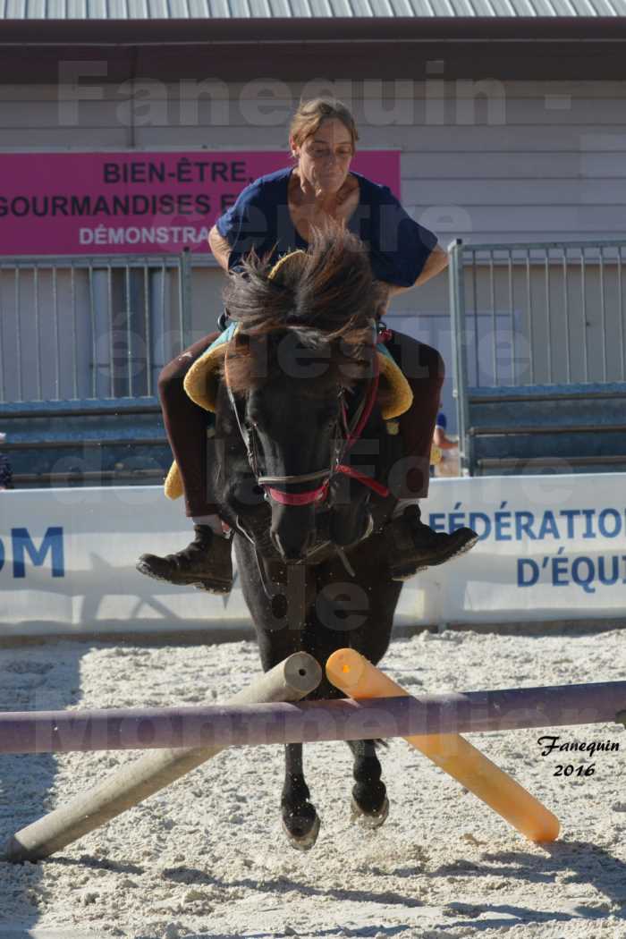 Centre équestre éphémère de la Foire de Montpellier 2016 - saut d'obstacle cavalière "clos d'Alice" - 7