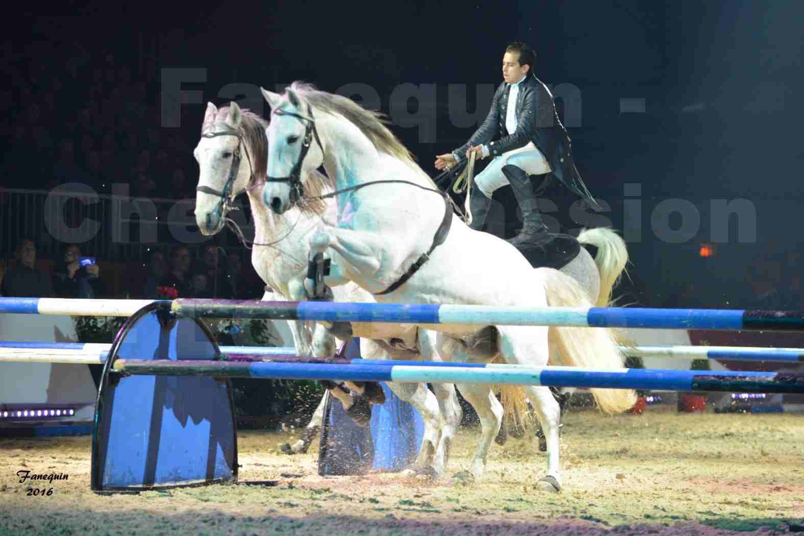 Cheval Passion 2016 - Spectacle les Crinières d'OR - LORENZO "Noir" - représentation du 20 janvier 2016 - 15