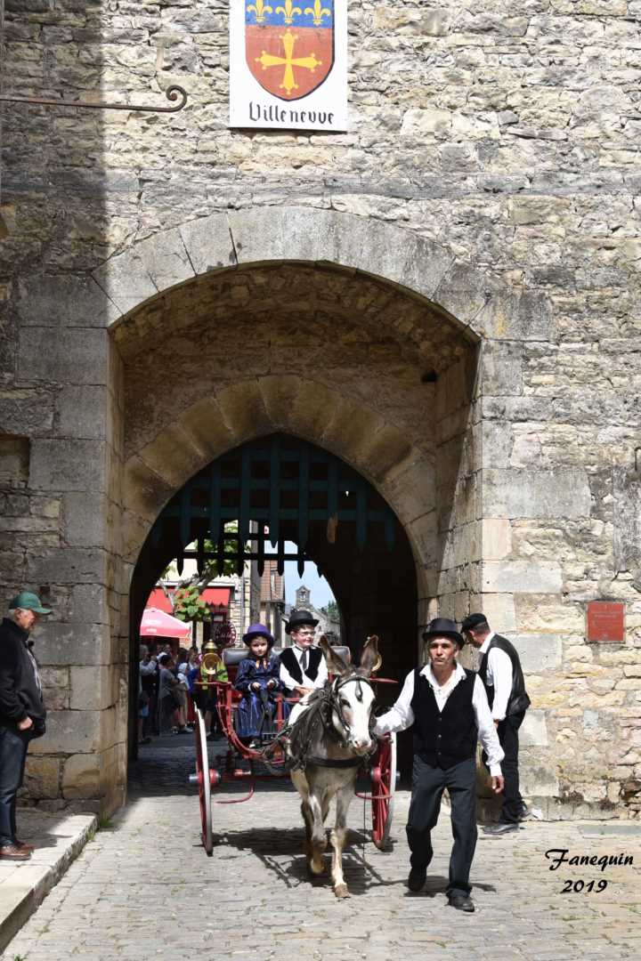 Défilé de calèches de 1900 à Villeneuve d'Aveyron - Âne avec calèche et enfants