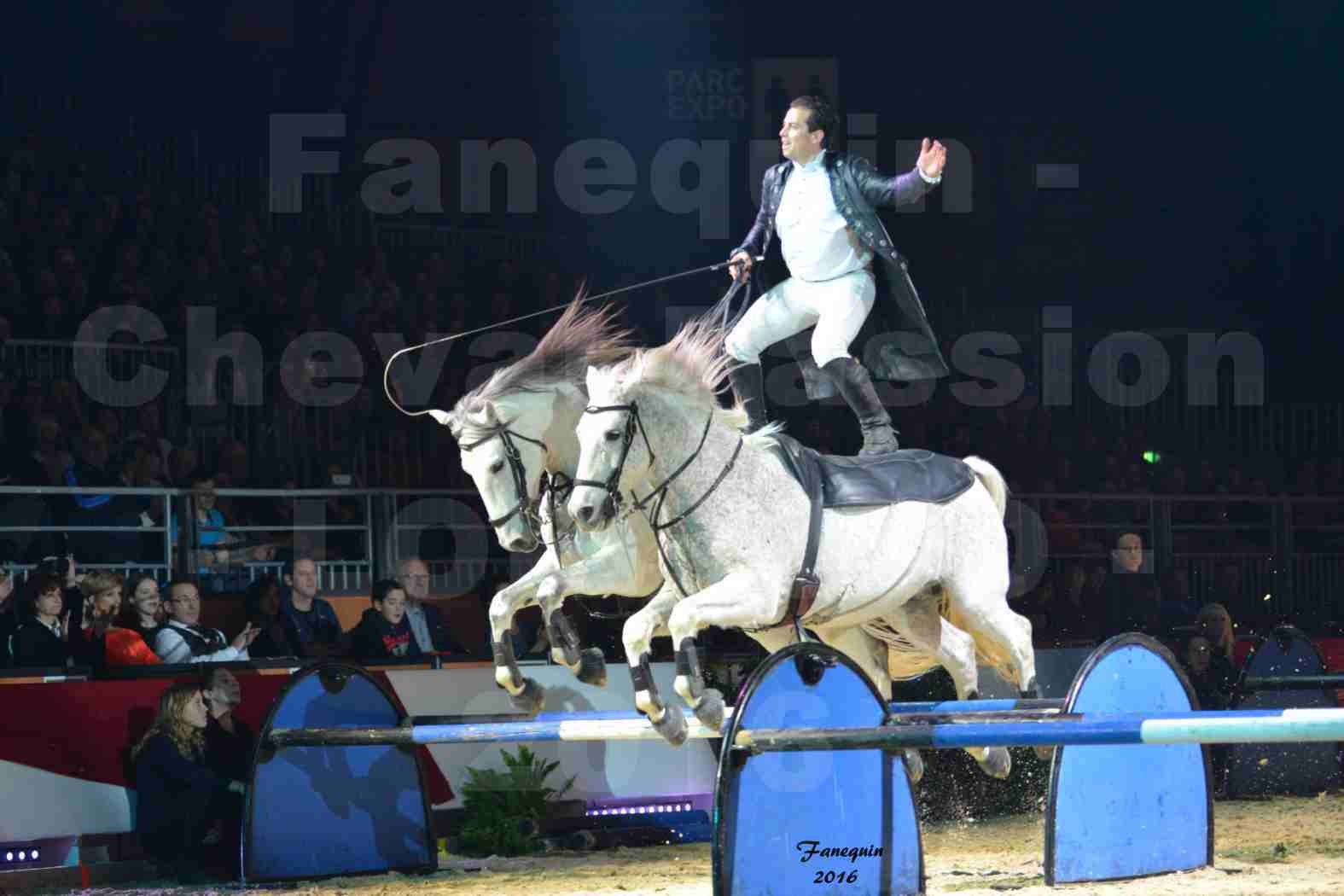 Cheval Passion 2016 - Spectacle les Crinières d'OR - LORENZO "Noir" - représentation du 20 janvier 2016 - 18