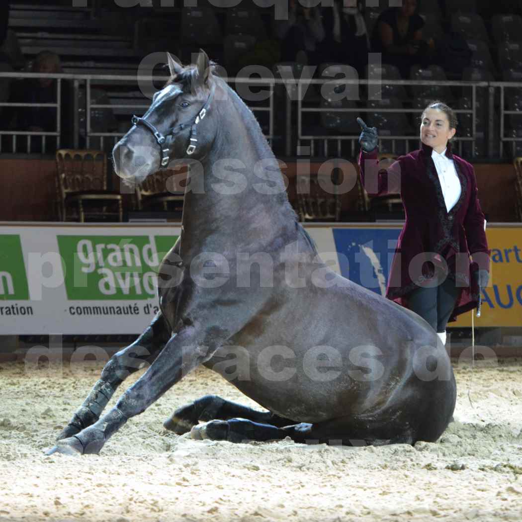 Cheval Passion 2014 - Frédériq VIGNE - Notre Sélection - 19