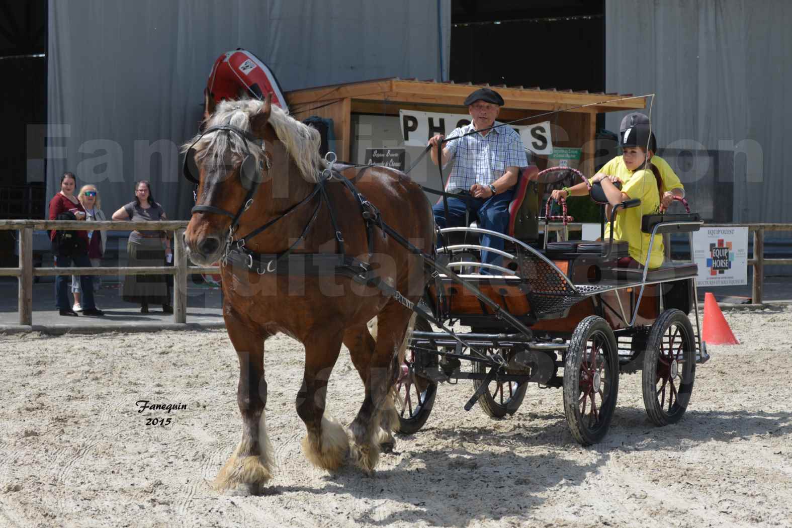 Salon Equitaine de Bordeaux 2015 - Présentation attelage en simple cheval de trait - 4